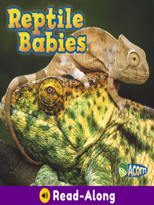 cover image of Reptile Babies
